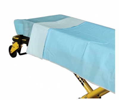 Hospital Beds